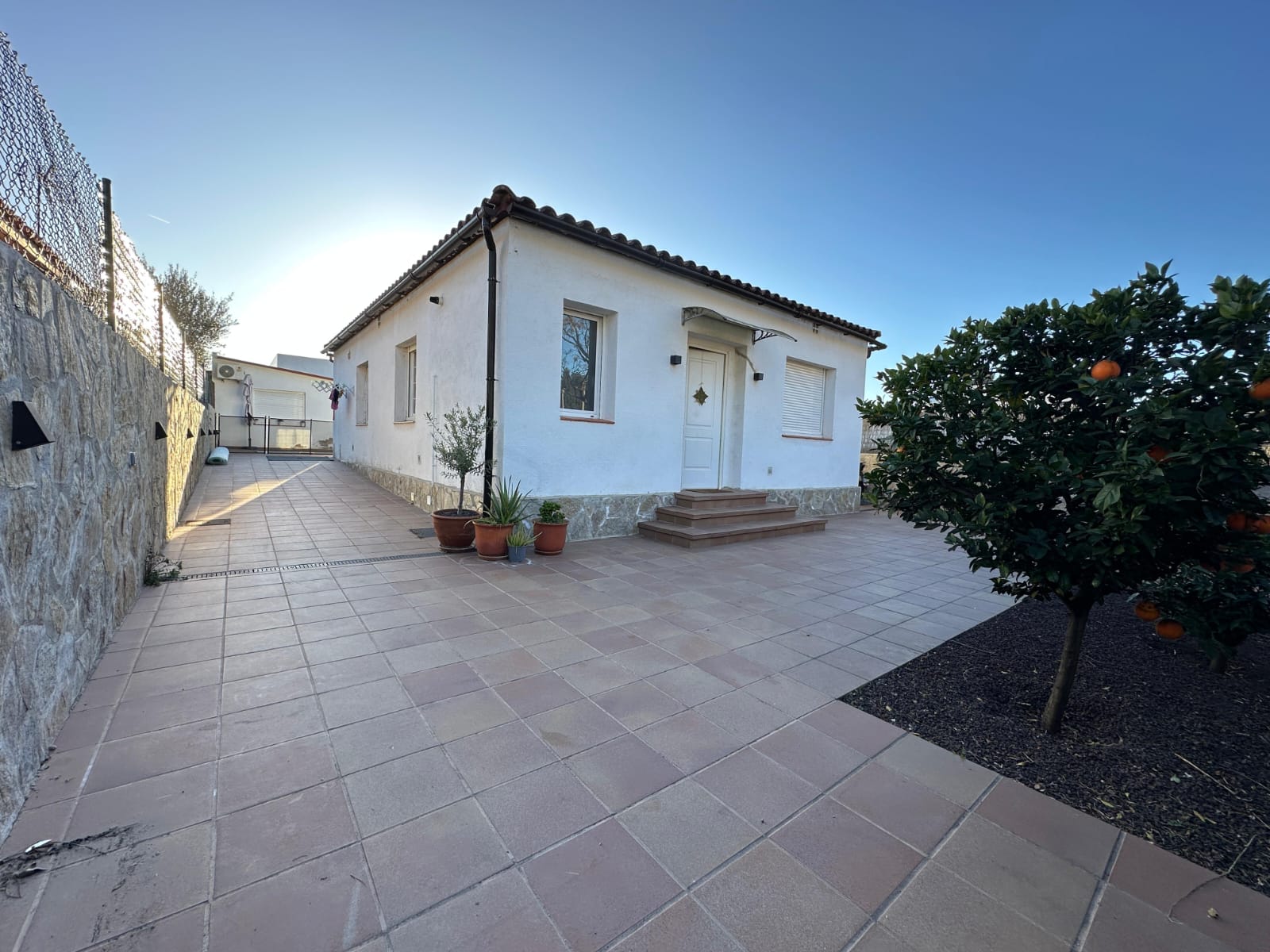 WhatsApp Image 2025-05-08 at 10.34.58 (1)