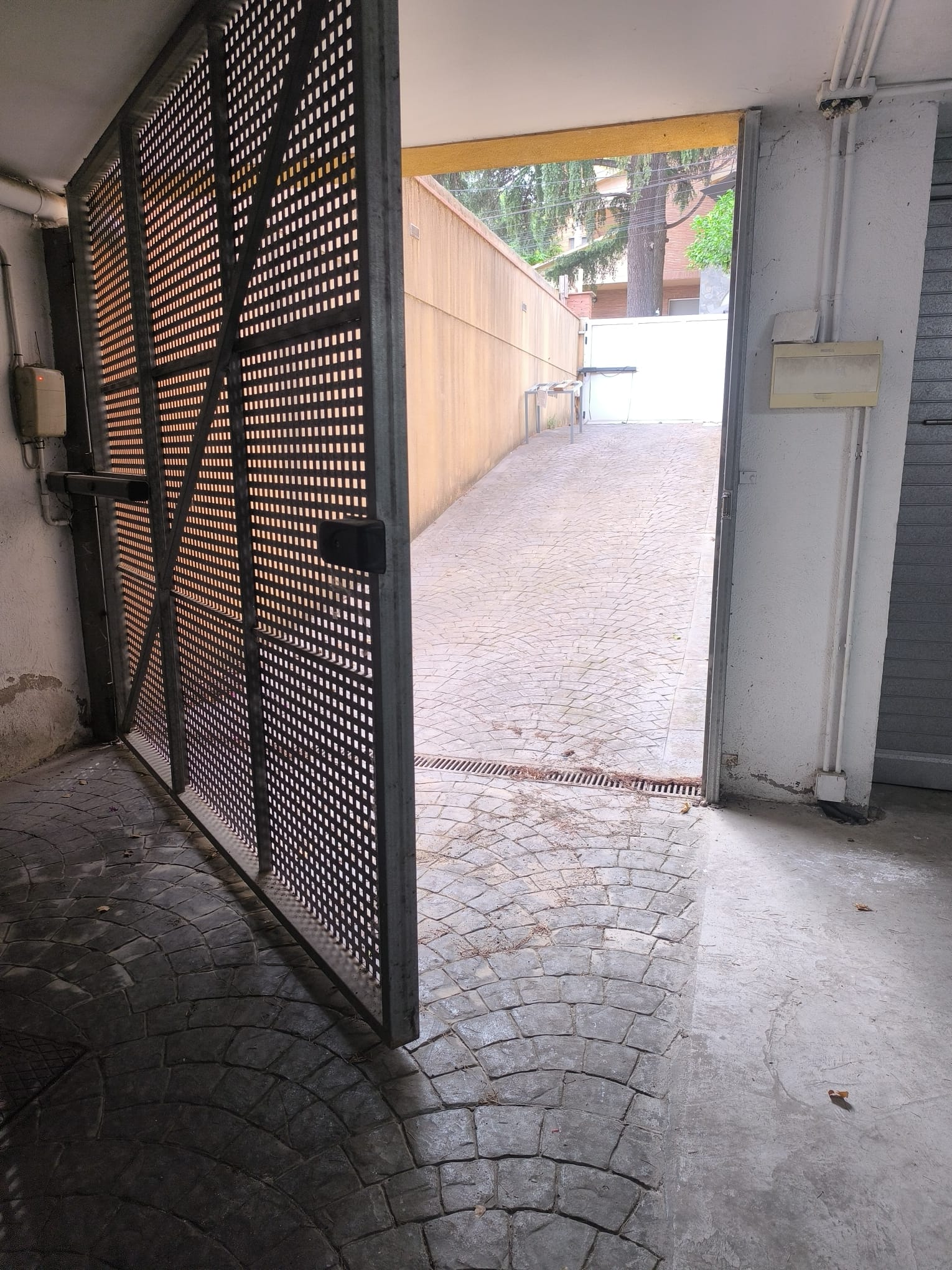 WhatsApp Image 2025-07-28 at 11.17.24 (1)