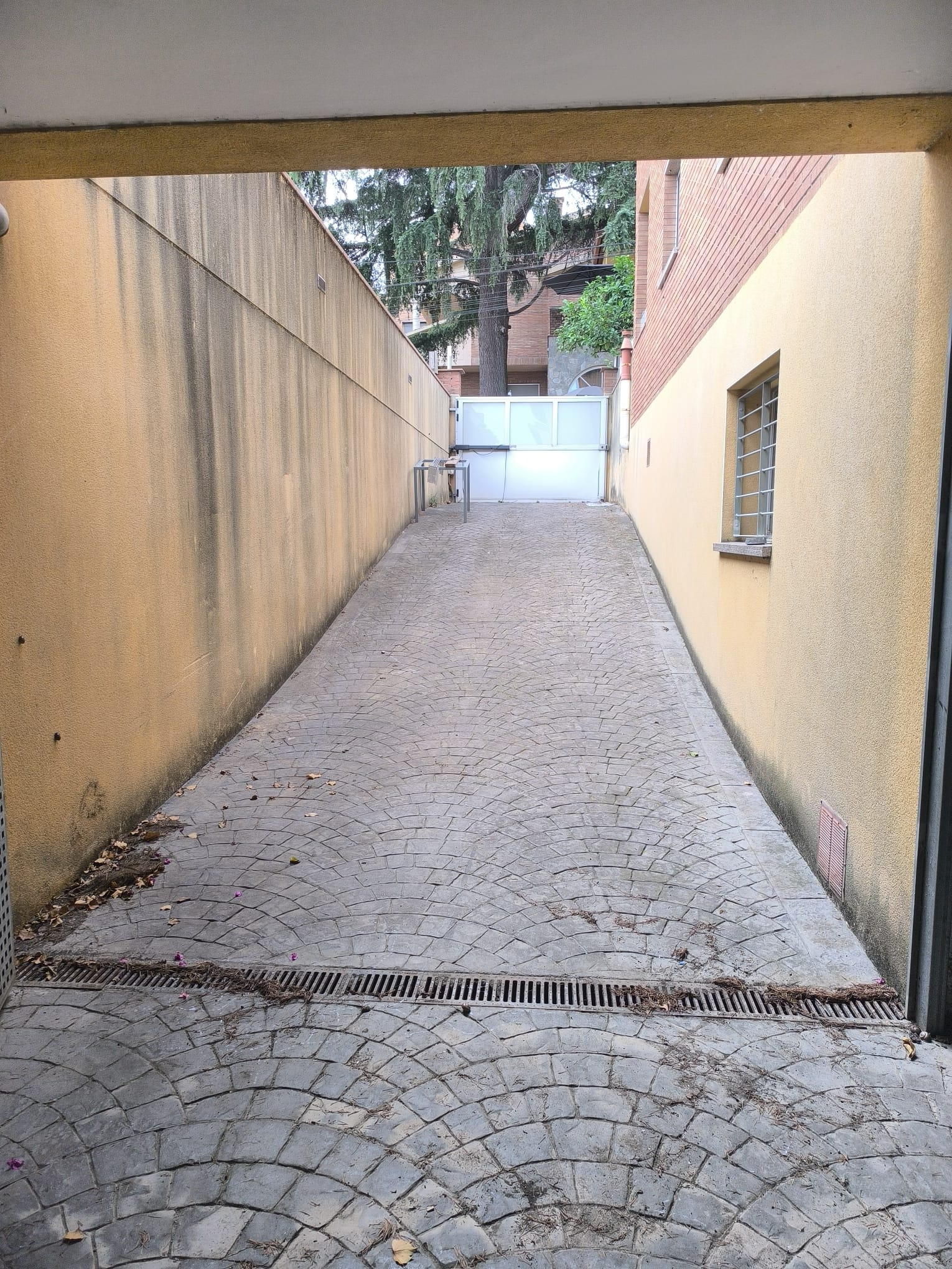 WhatsApp Image 2025-07-28 at 11.17.24