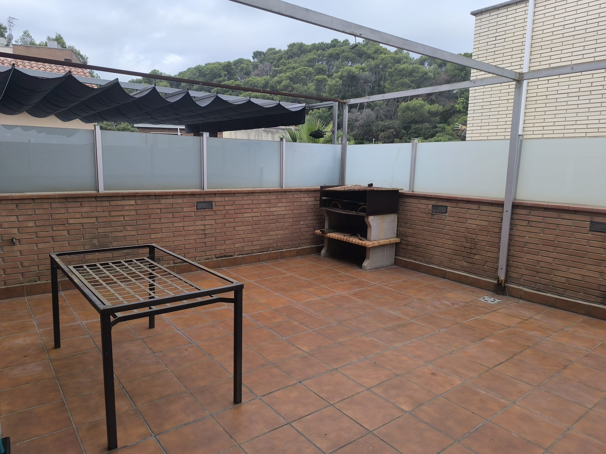 WhatsApp Image 2025-07-28 at 11.18.47