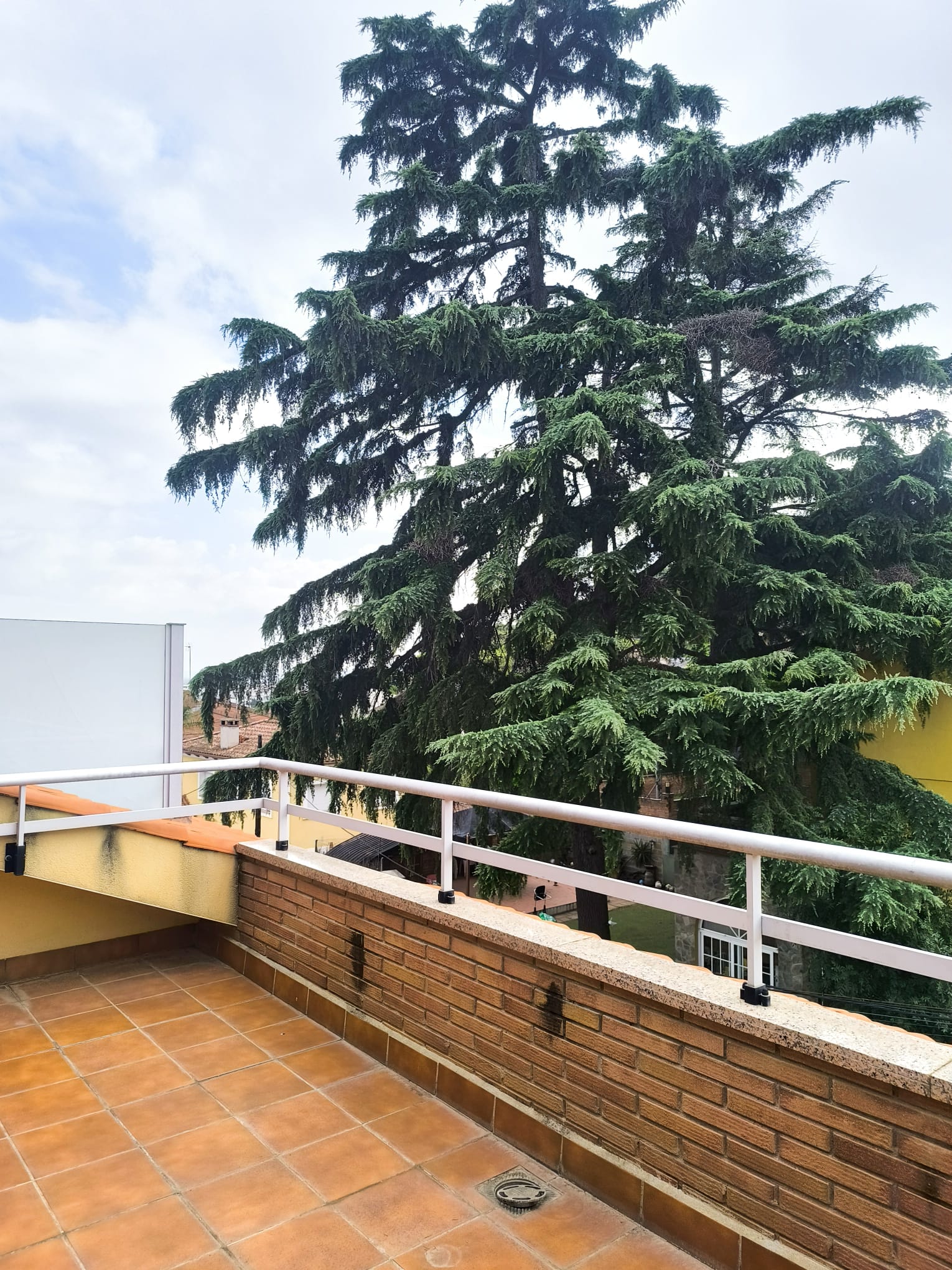 WhatsApp Image 2025-07-28 at 11.18.51 (1)