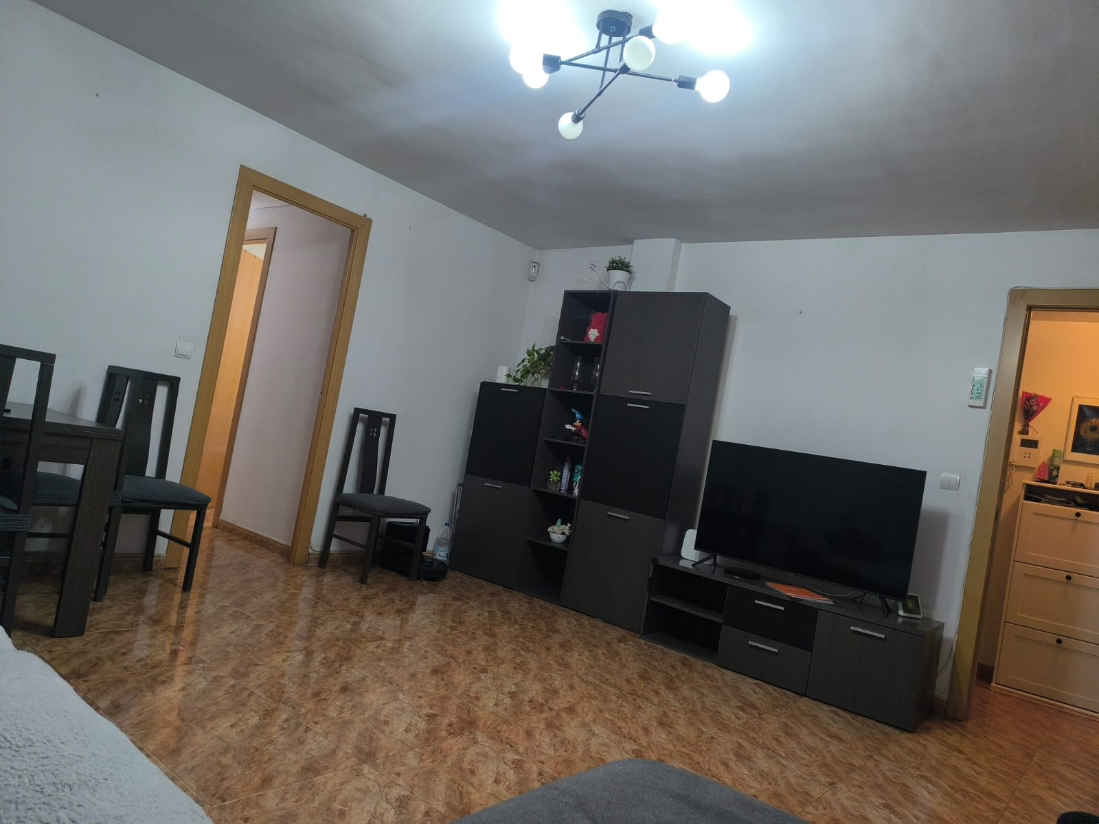 WhatsApp Image 2026-01-24 at 17.34.11 (1)