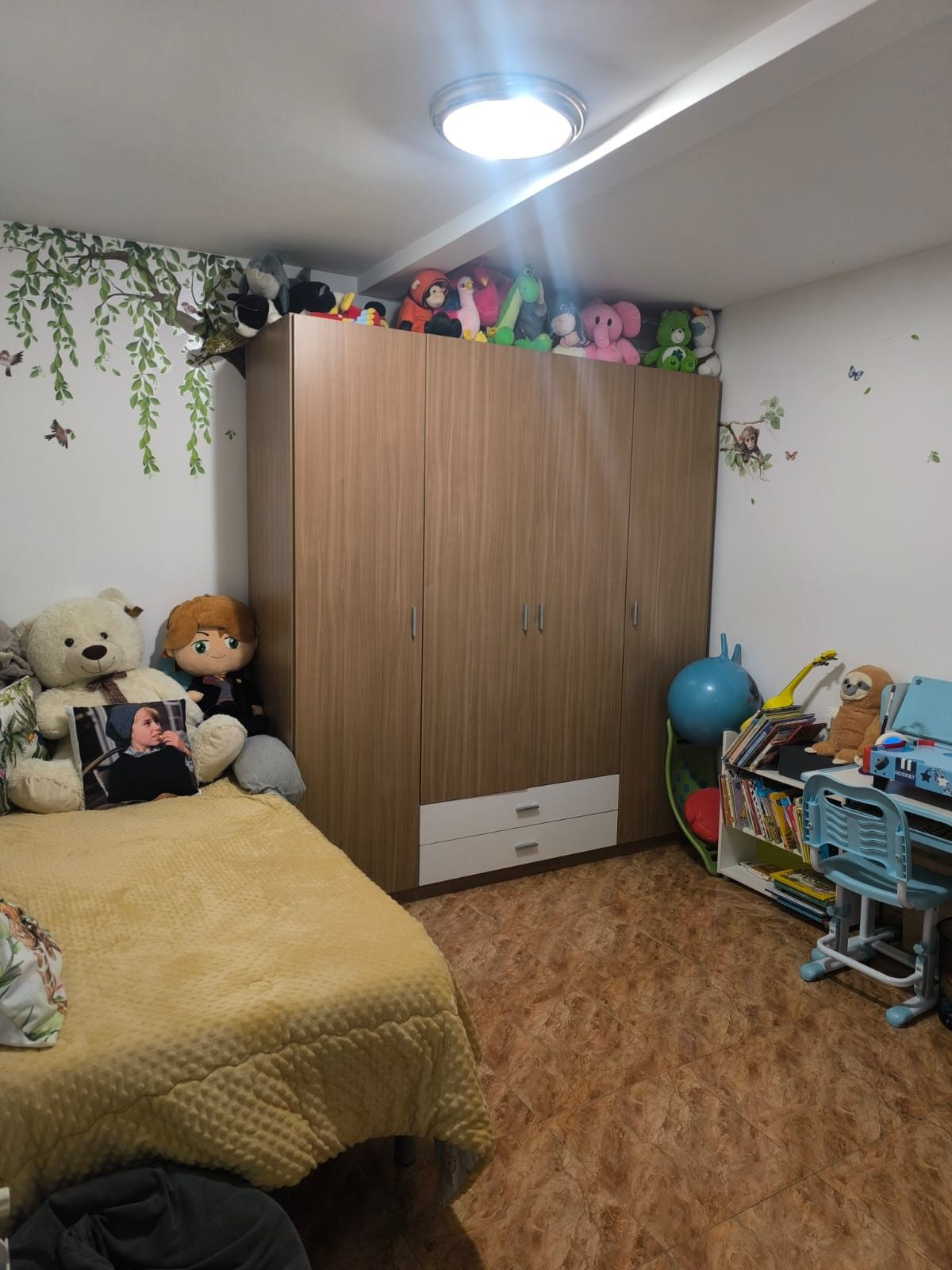 WhatsApp Image 2026-01-24 at 17.34.13 (2)