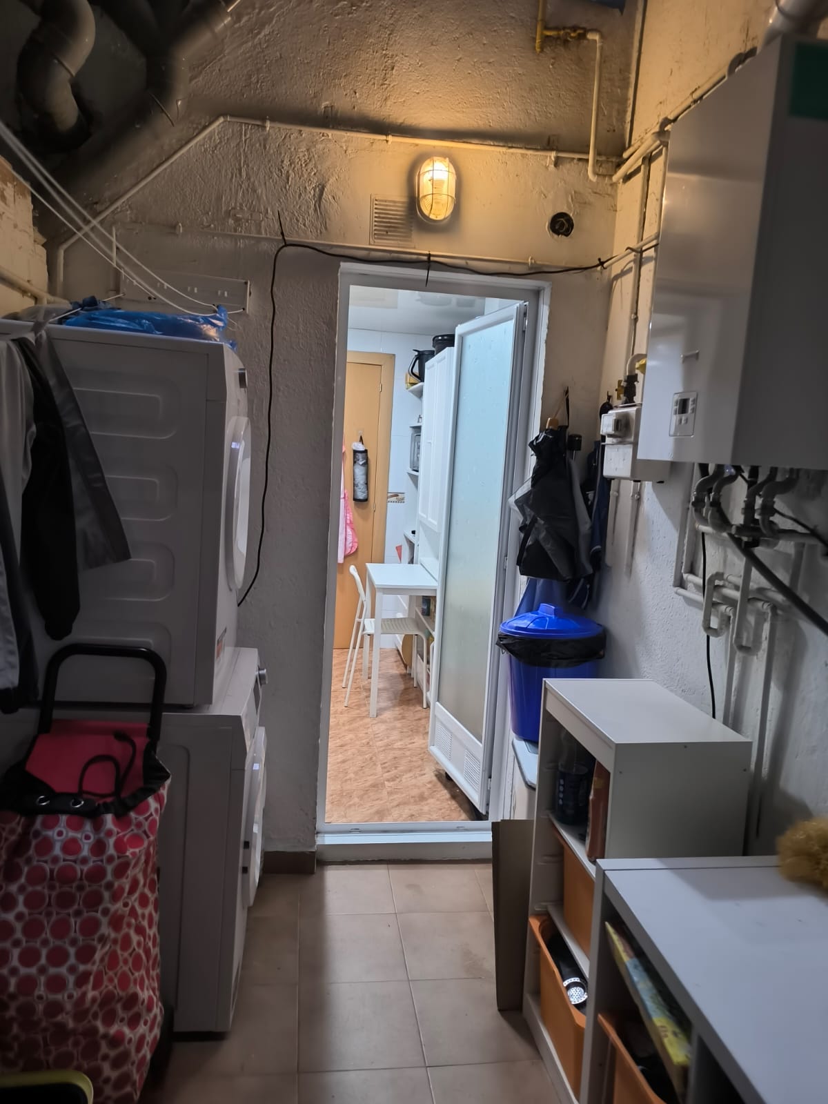 WhatsApp Image 2026-01-24 at 17.34.14 (7)