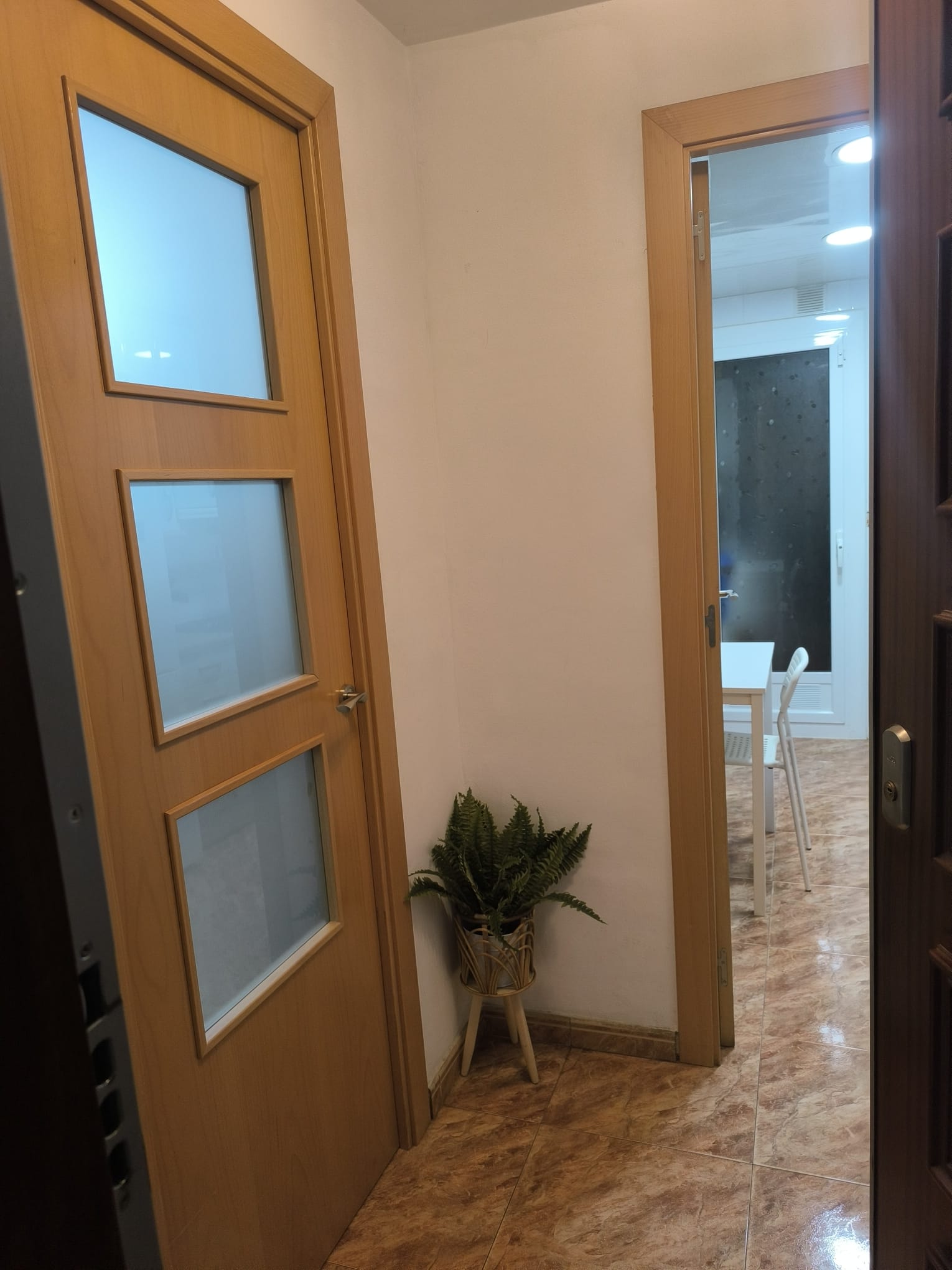 WhatsApp Image 2026-01-24 at 17.34.15 (5)