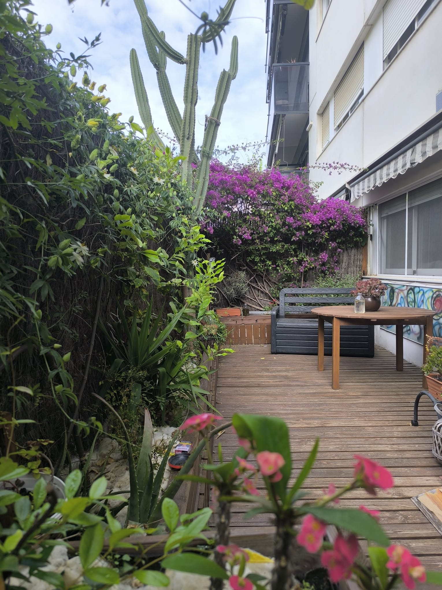 jardín 4